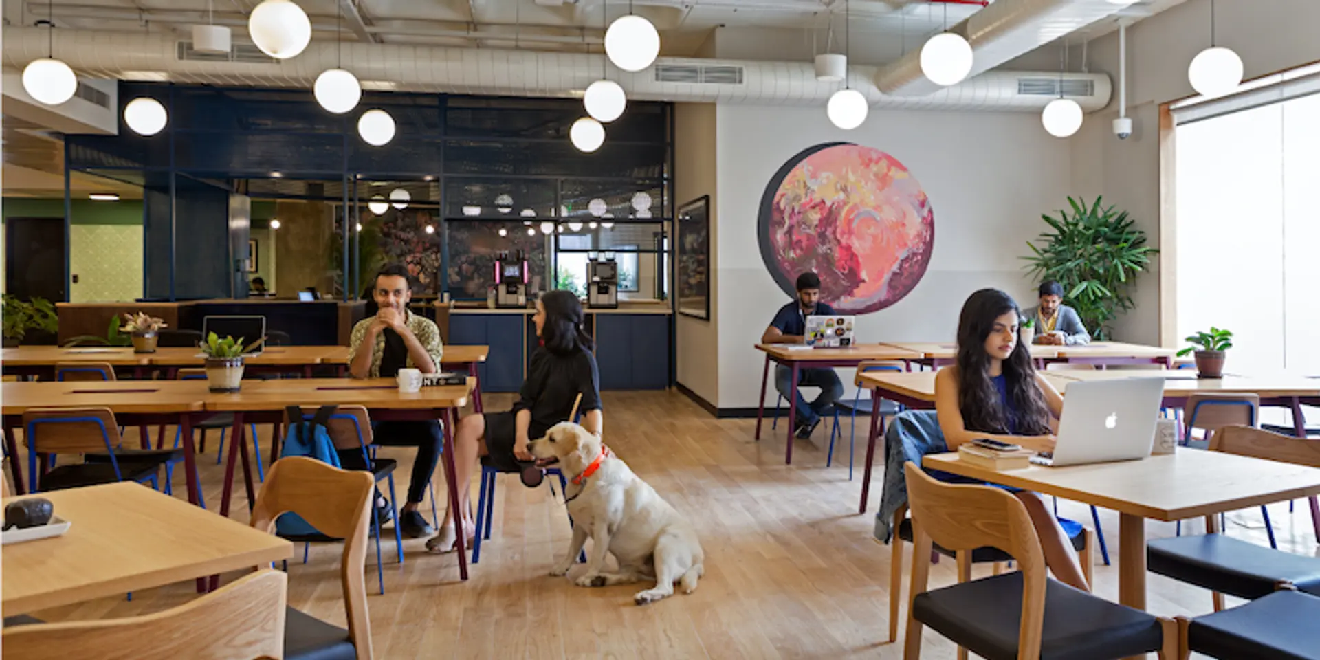 Sometimes, it takes a community to raise a business