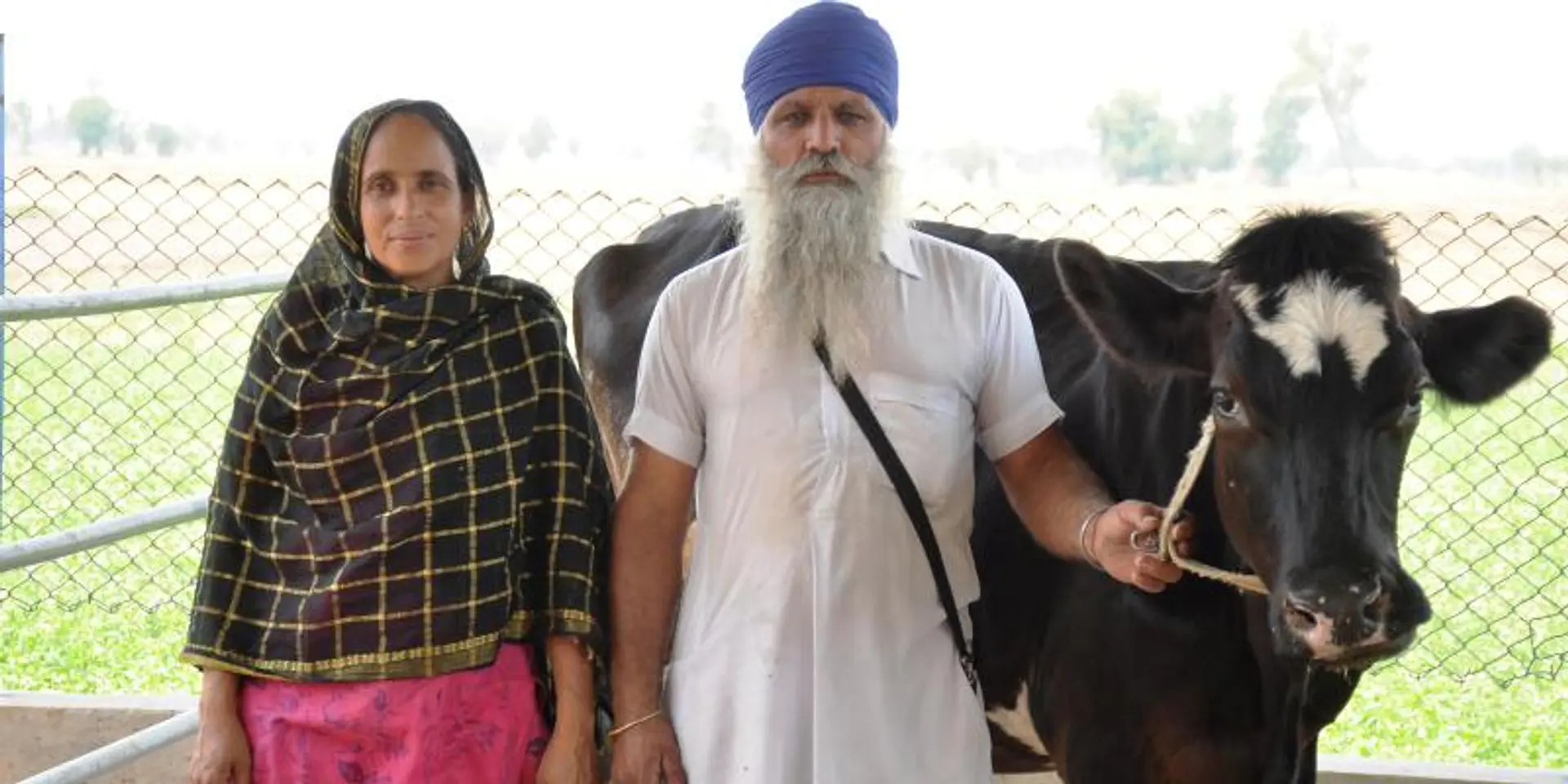 Project Mooo: supporting India's dairy farmers with sustainable technology