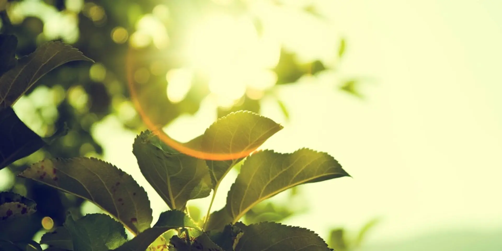 Delhi schools planning to light up with solar power soon