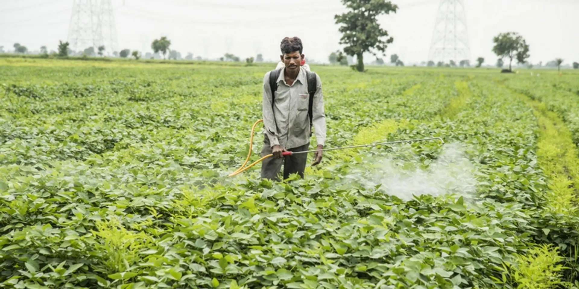 How renewable farming can solve problems of climate change and conflicts