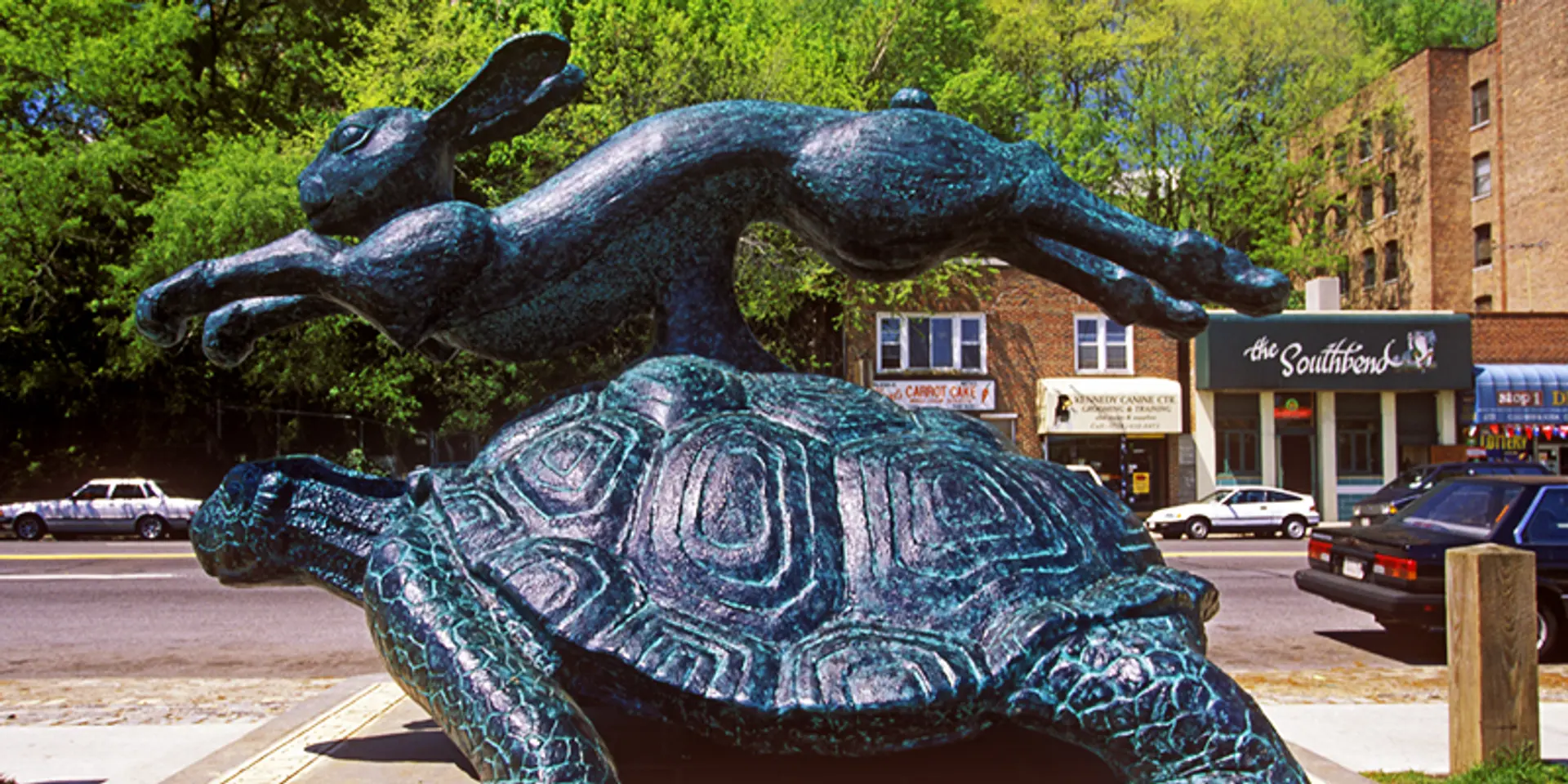 It their quest for growth, startups will need to learn a thing or two from the tortoise as well
