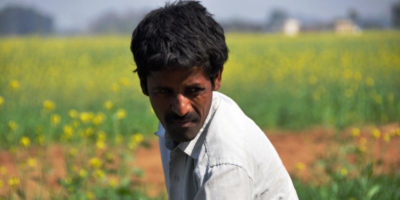 Why we should be worried about GM Mustard