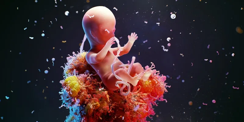 3D womb static
