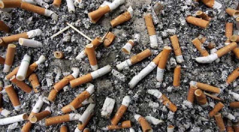 Cigarette butts can be used in asphalt roads, solving a huge waste problem