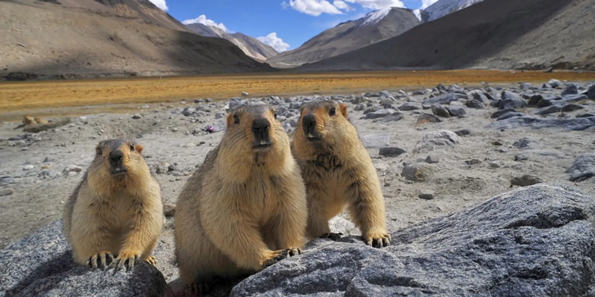 Nature inFocus is bringing together nature lovers via online and offline experiences