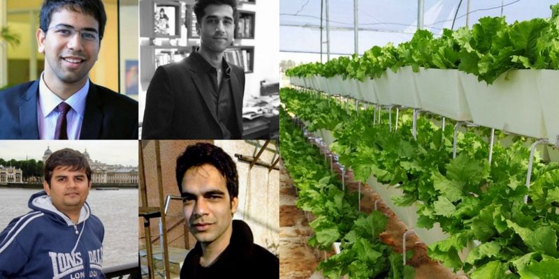 [Bootstrap heroes] How this startup produces 700 tonnes of fruits and vegetables without soil
