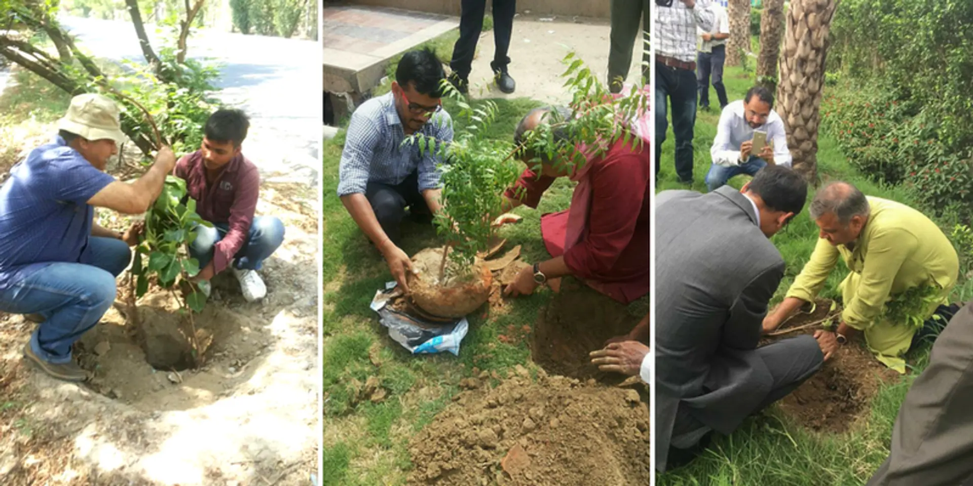 Give Me Trees Trust has planted over 20 million trees across the country in the past 40 years