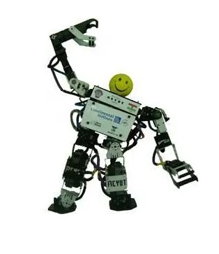 AcYut1 (image source - http://www.acyut.com)