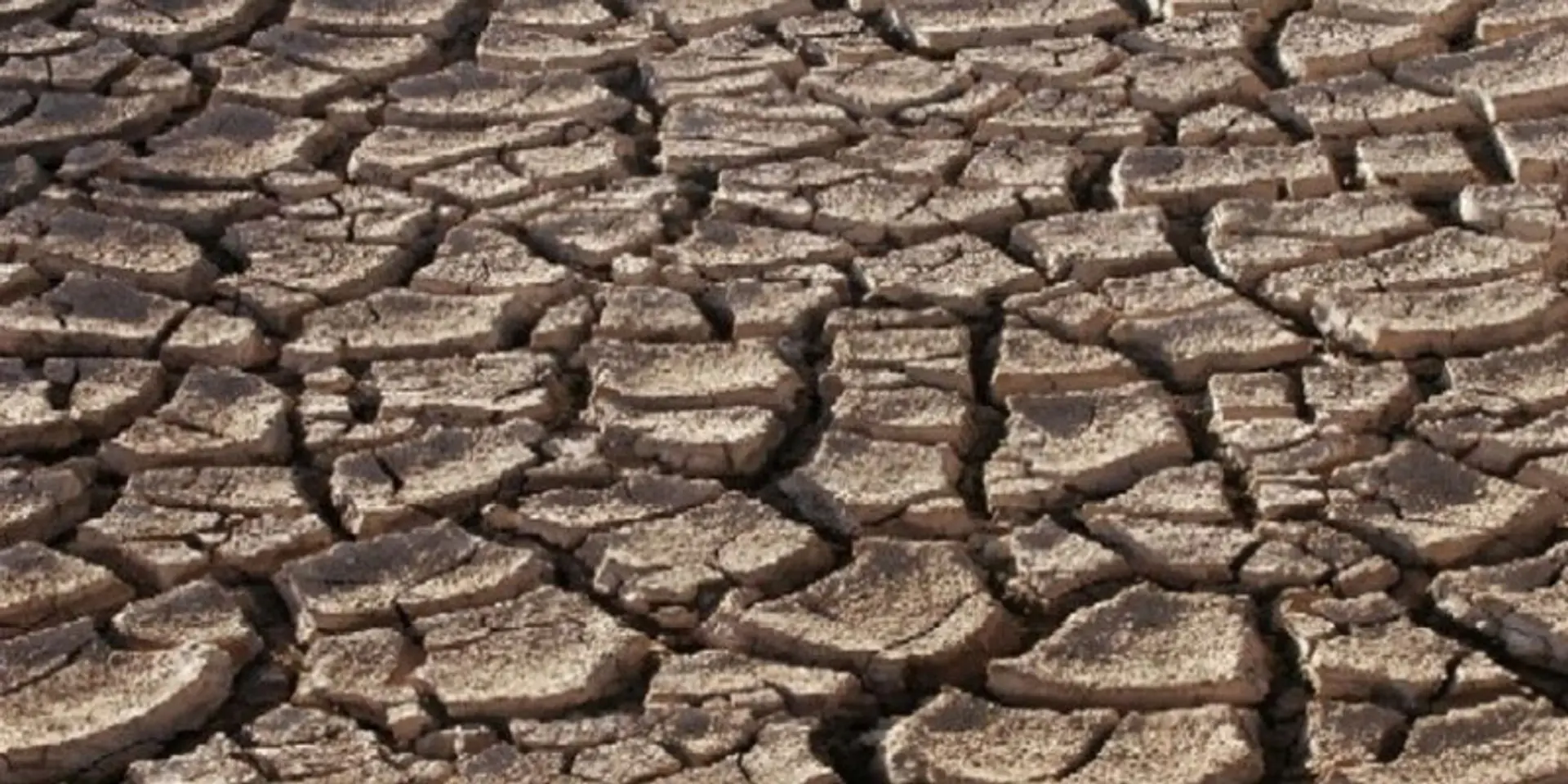 Parched lips, barren lands and the scramble for water in Maharashtra