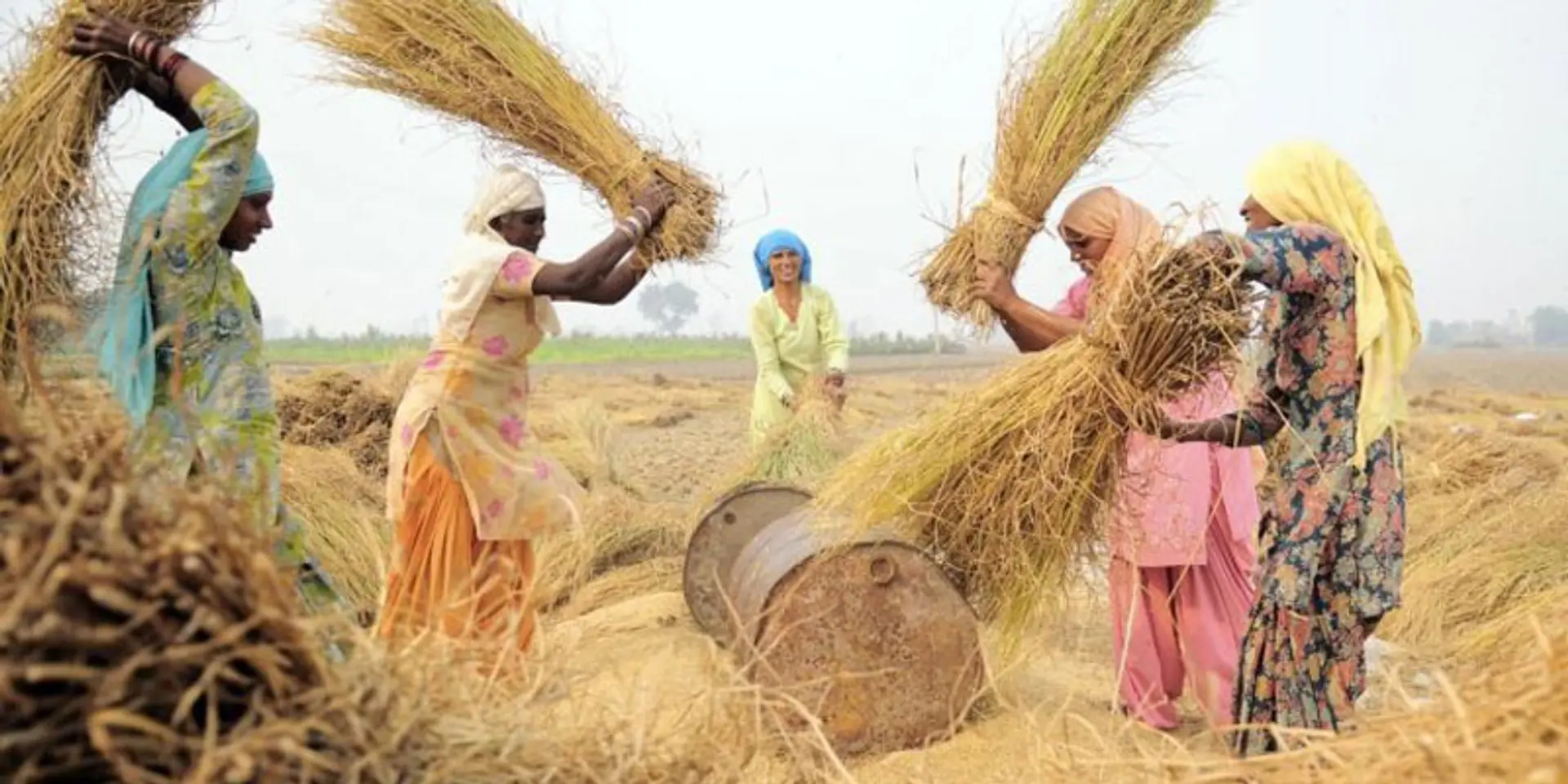 Saving soil health through sustainable agriculture