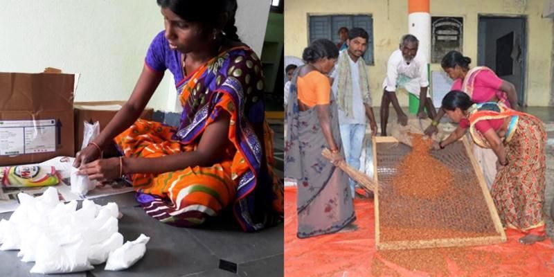 3,000 women in rural Telangana generated a 15.5cr turnover last year. Here's how