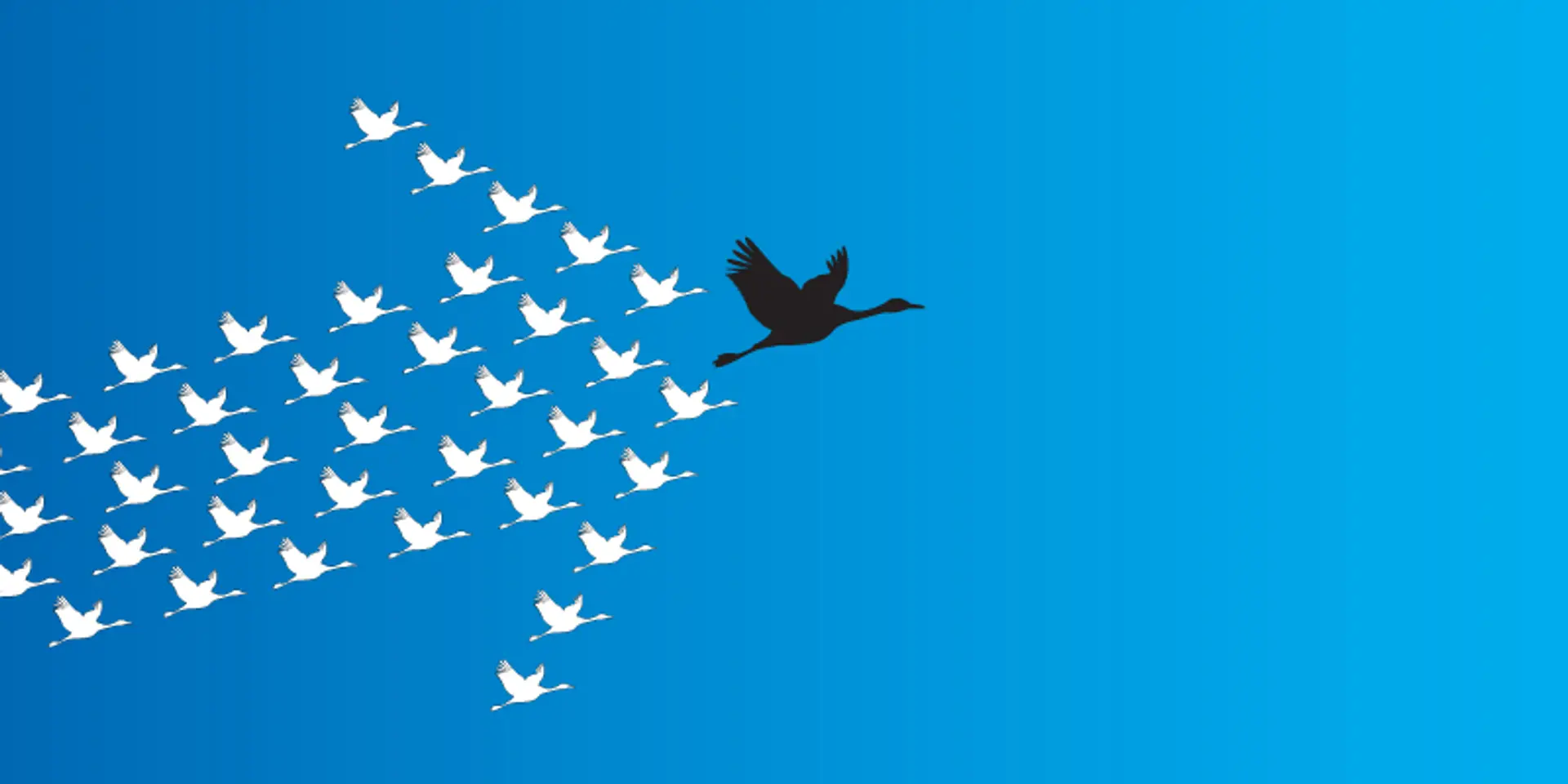 The exceptional (but rare) traits of brilliant leaders
