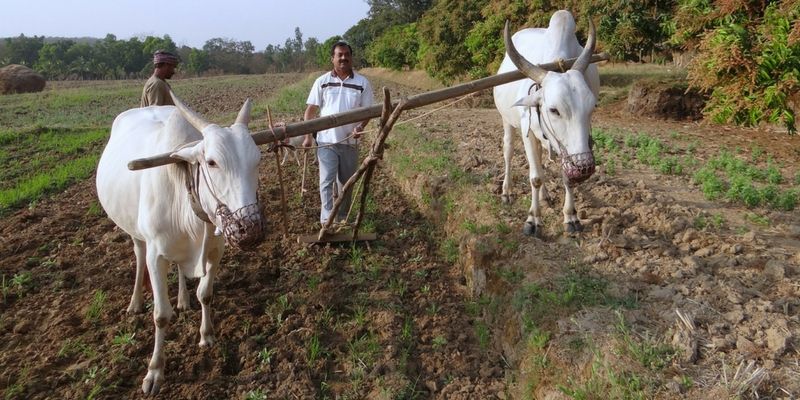 Low-cost plough for poor farmers — Mohan Kumar makes affordable inventions