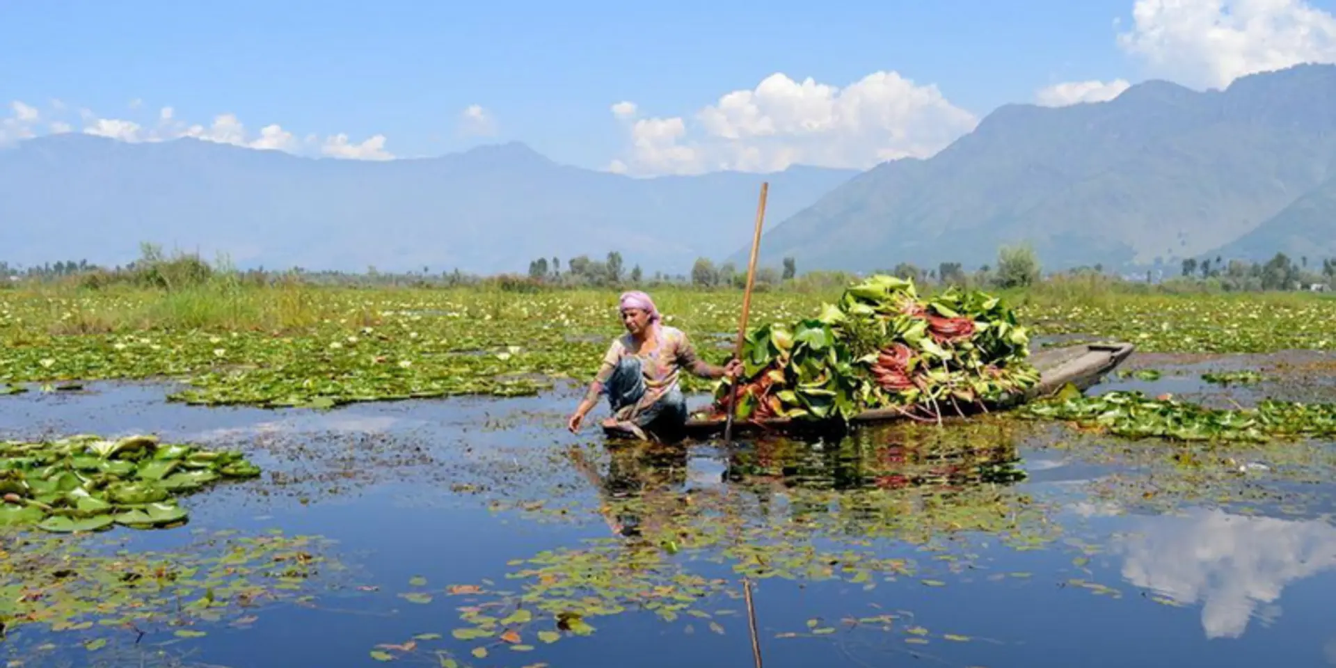 Once the pride of Kashmir, Wular Lake now struggles for survival