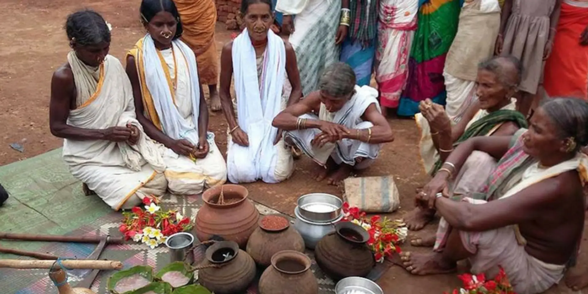 Odisha's Niyamgiri tribe revive wild harvests after victory against Vedanta