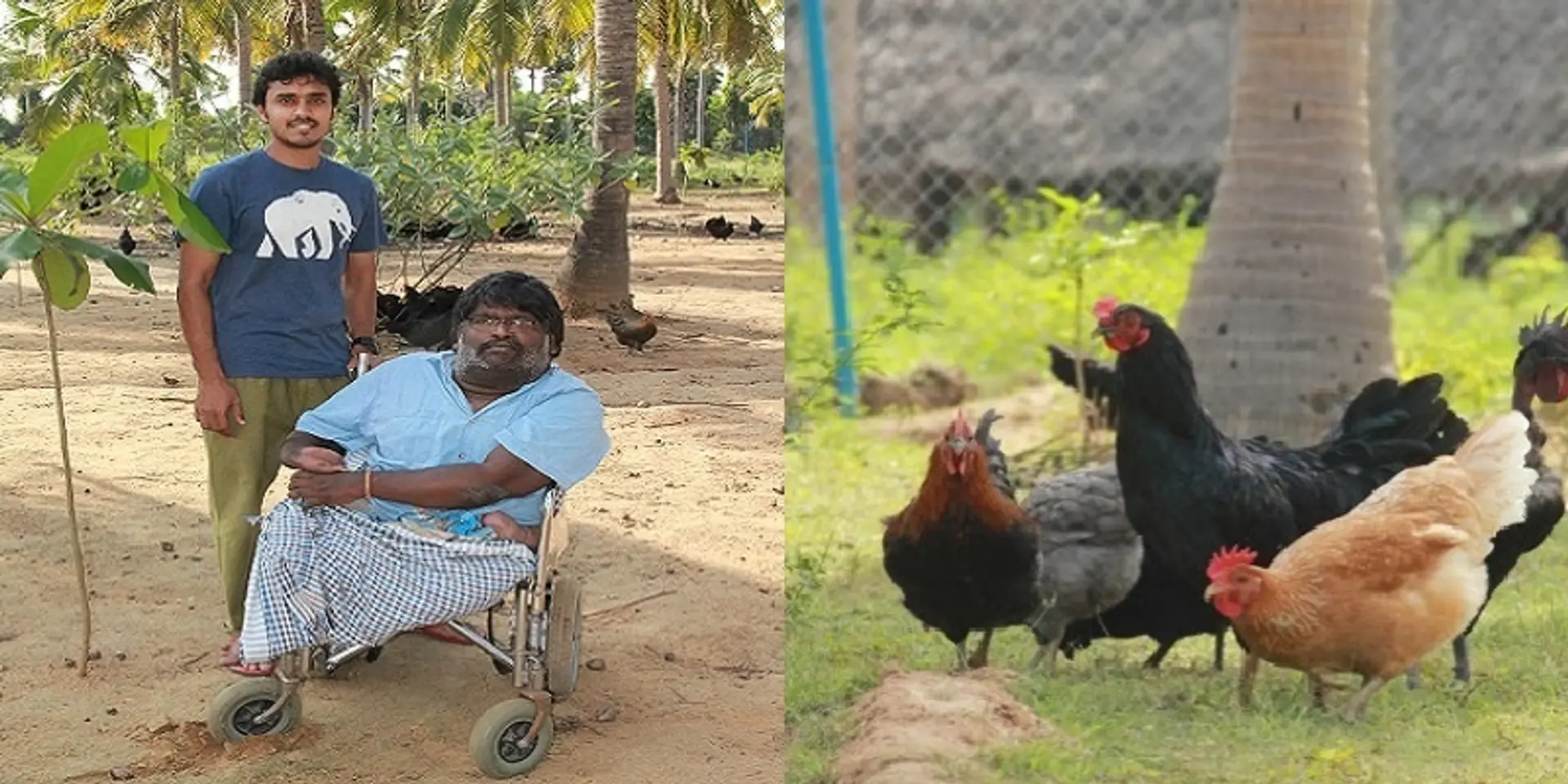 Despite repeated failures, these entrepreneurs built an empire of eggs across India