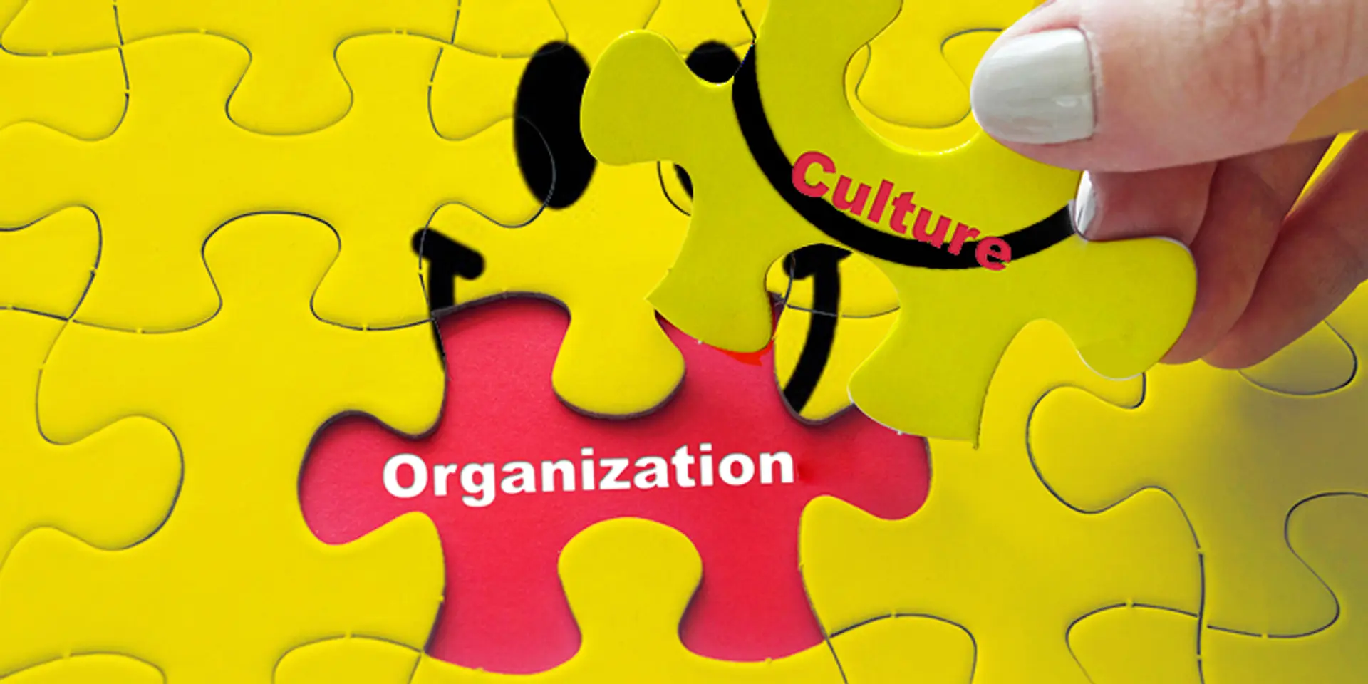 How to create a company culture that your team will love
