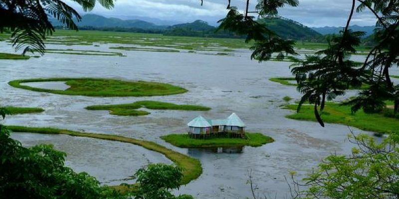 Travel to Northeast India to see the world's only floating national park