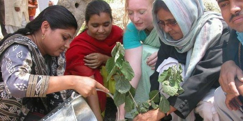 This village in Bihar plants a mango tree for every girl born