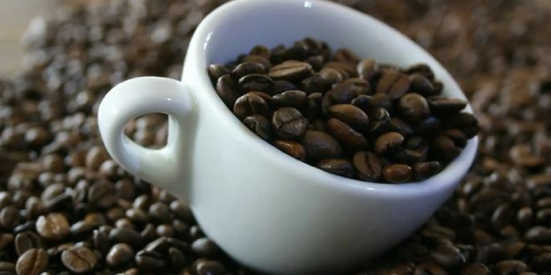 World's most expensive coffee now being produced in India