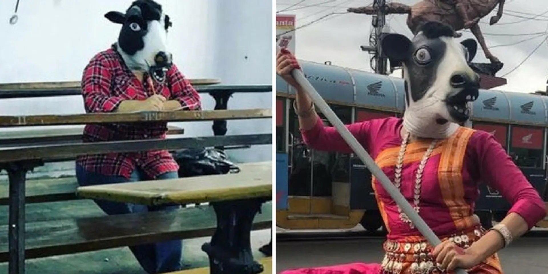 Women wear cow masks in public to highlight women's safety issues