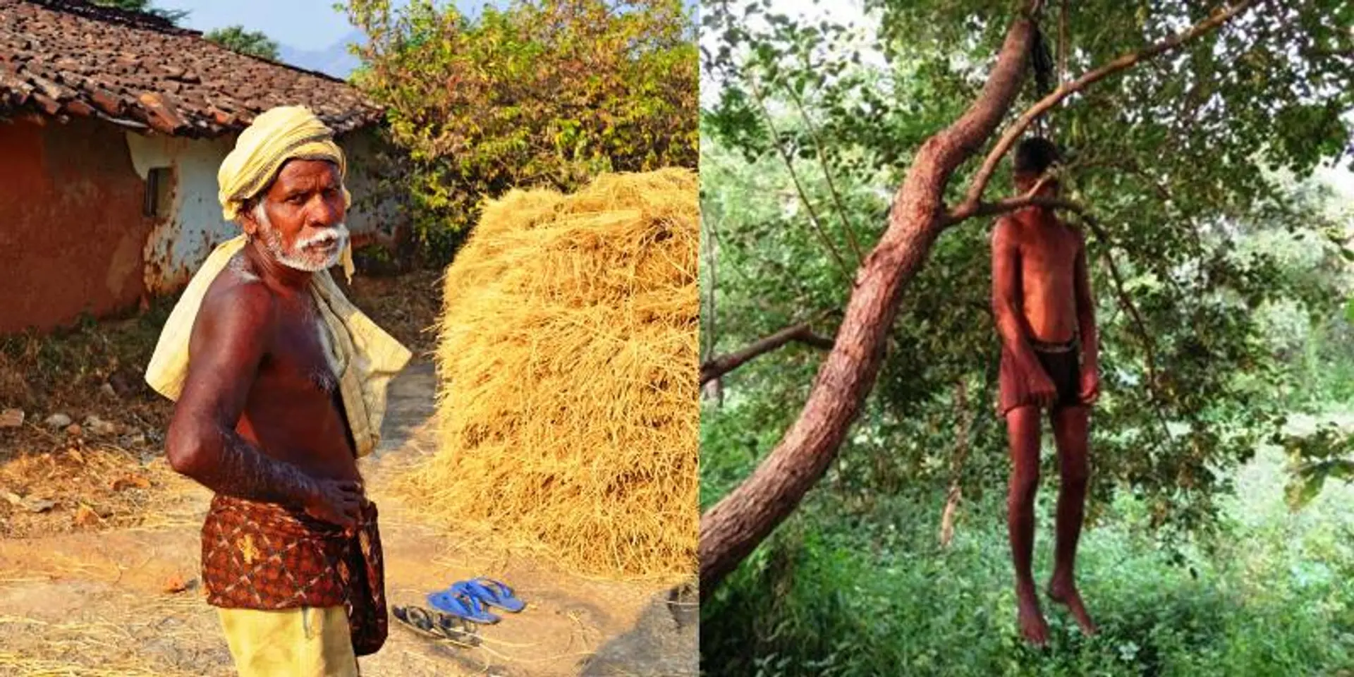 Rural India is eating less than what it used to 40 years ago