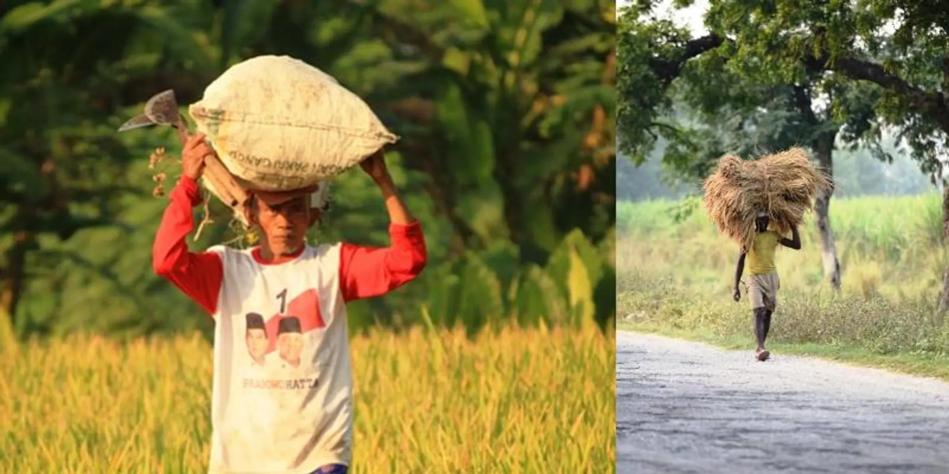 Why do our farmers bear the entire burden of keeping food prices low?