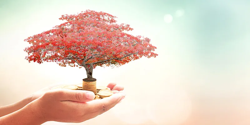 Image: Shutterstock