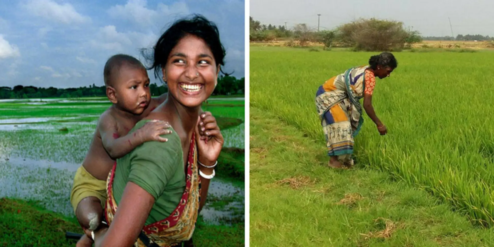 I Support Farming believes that everyone can be a farmer