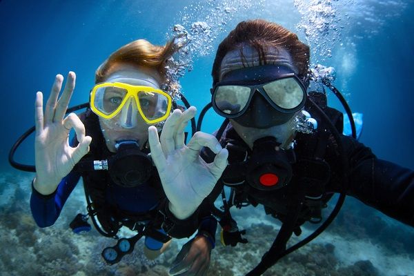 Scuba Sutras: startup lessons from under the sea