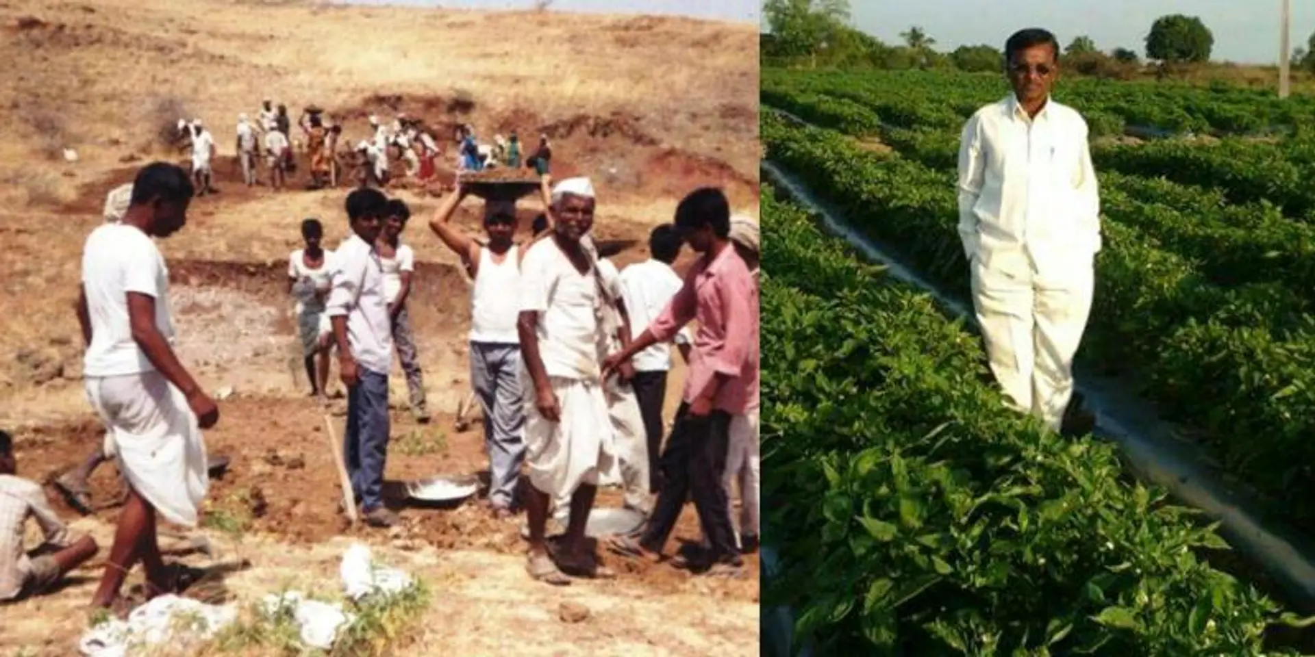 Once barren, today this Maharashtra village boasts of 100 farm ponds and large-scale agricultural exports
