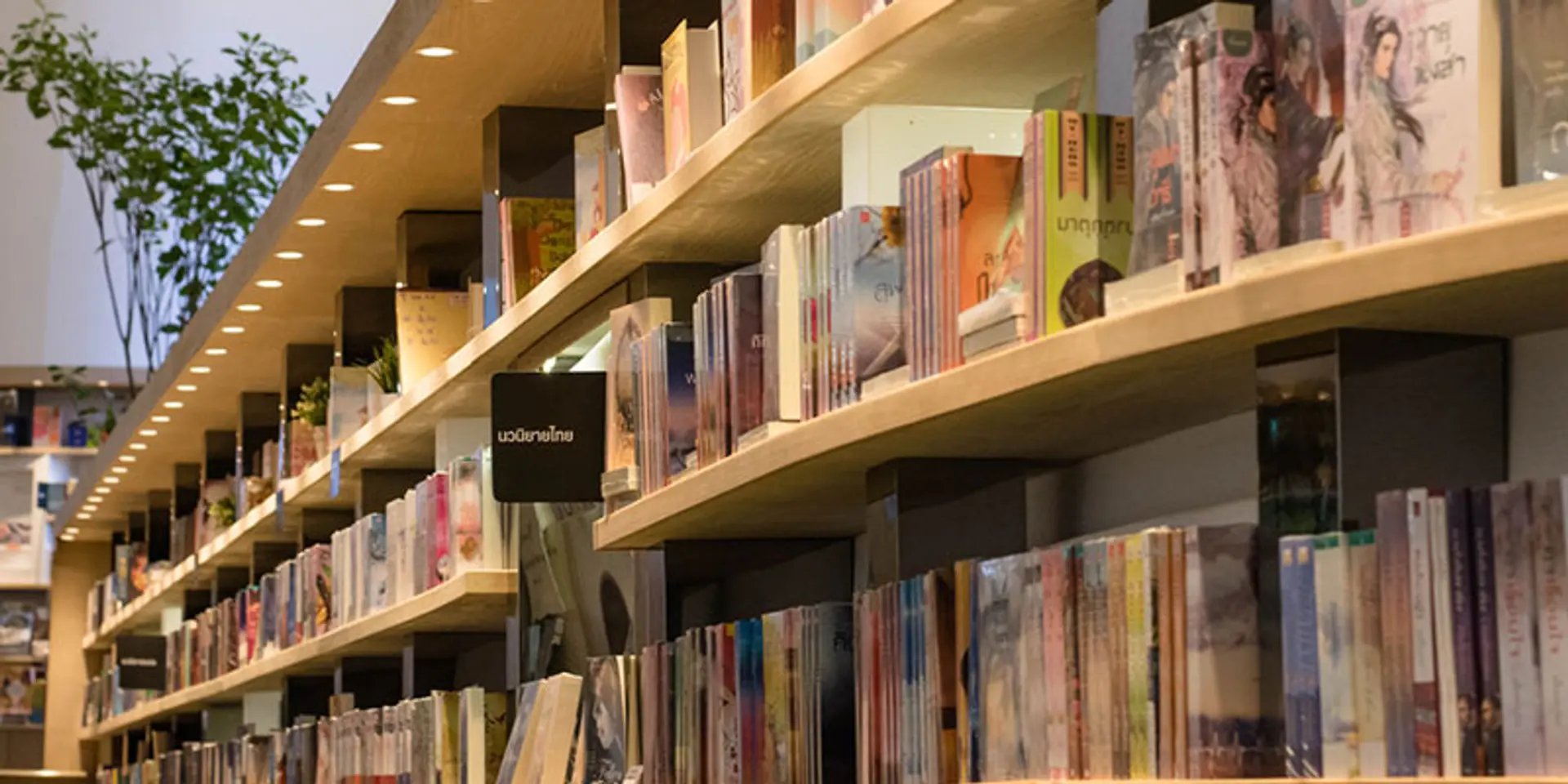 A Stanford Professor shows how the wisdom of literature can be applied to business and leadership