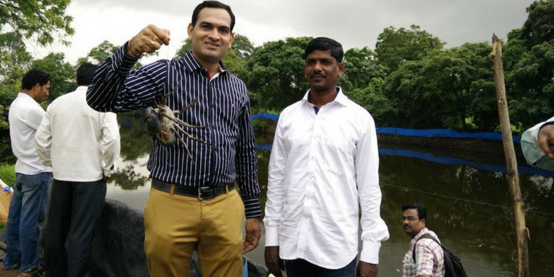 Rearing fish in farm ponds is boosting rural incomes in Maharashtra