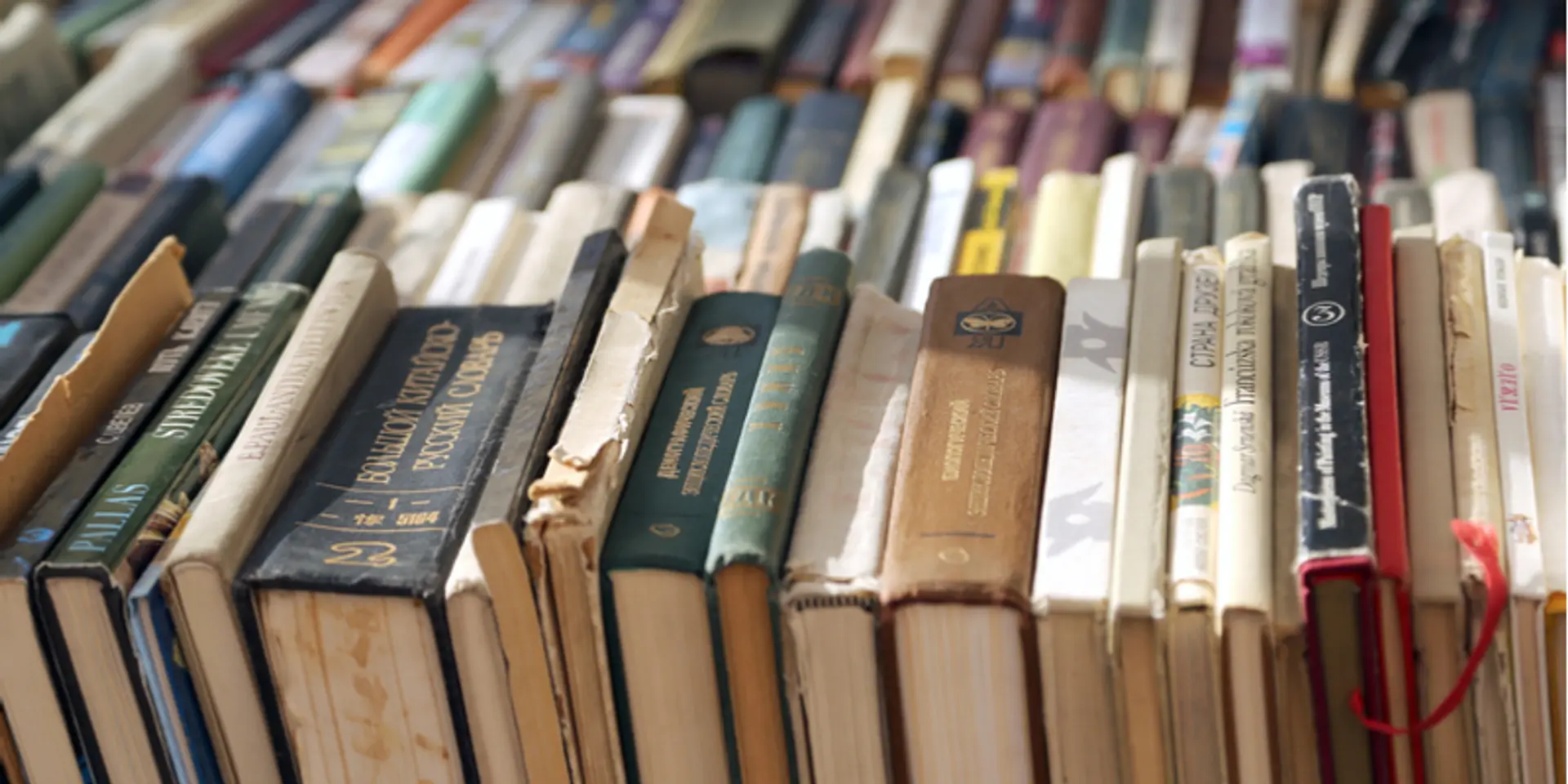 A mission to preserve over 40 years of book reviews and literature for the future generation