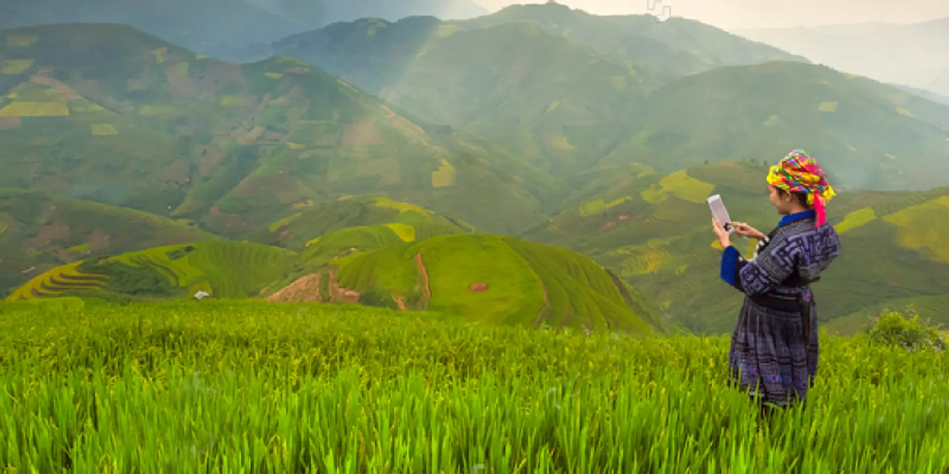 Vietnam and its telecom sector: how the country answered the call for reform