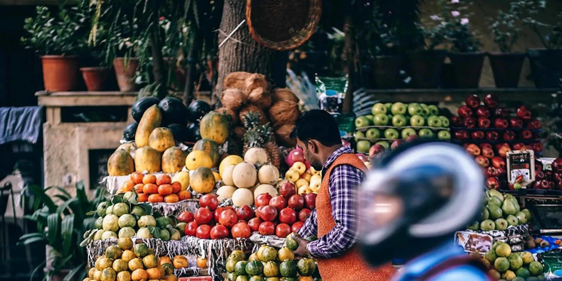 How I had a Rs 40,000 all-cash holiday in the digital wallet era