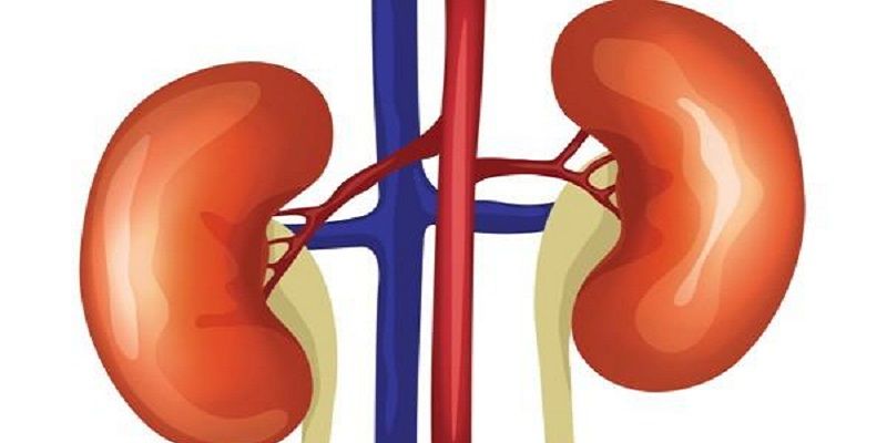 Priced at Rs 5, this biosensor can detect kidney disease in just 8 minutes