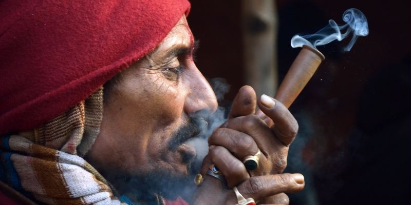 Why bill to legalise marijuana and opium getting cleared for Parliament is a game changer