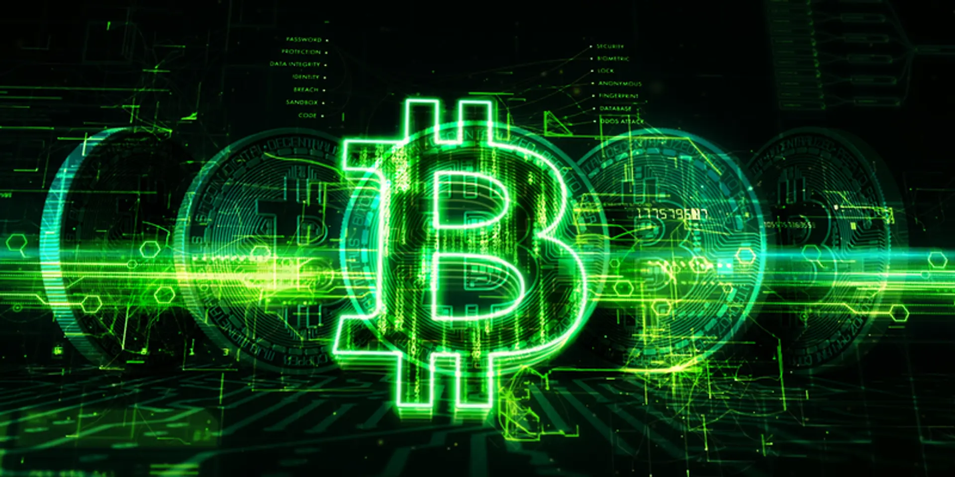 How VCs are reacting to the cryptocurrency boom