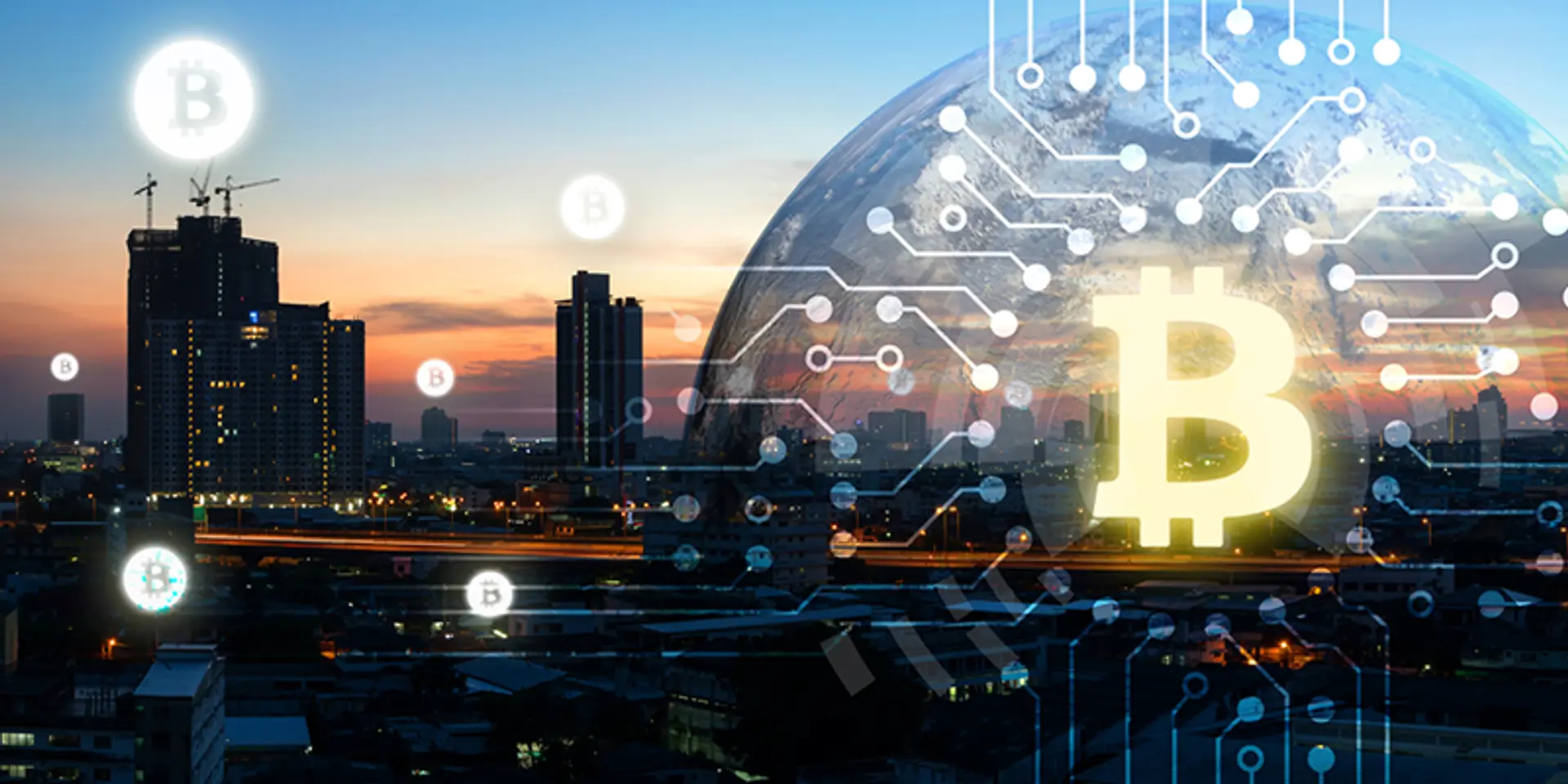 A variety of Indian startups are ready to cater to all your cryptocurrency trading needs