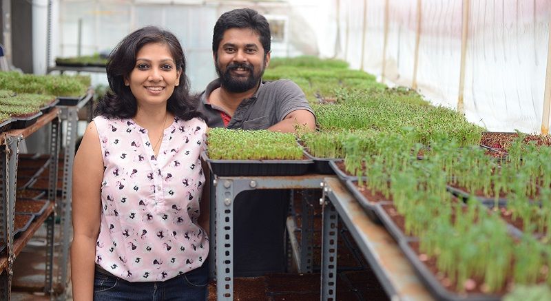 Making organic farming fashionable - these entrepreneurs are showing the way