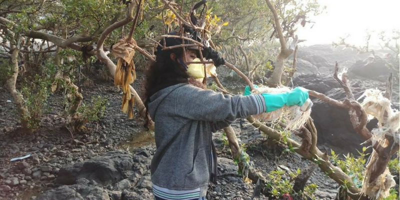720 volunteers clean up mangroves along Bandra's Carter Road of 3,000 kg trash