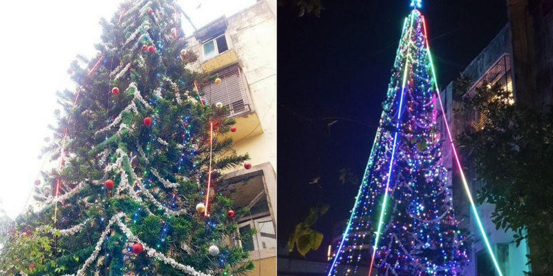 Meet The Mumbai Family That Grew The Tallest Record Breaking Christmas Tree In Their Backyard