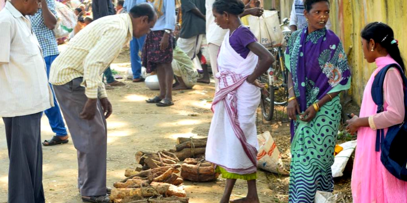 How forest food ensures nutritional security among tribals in Odisha