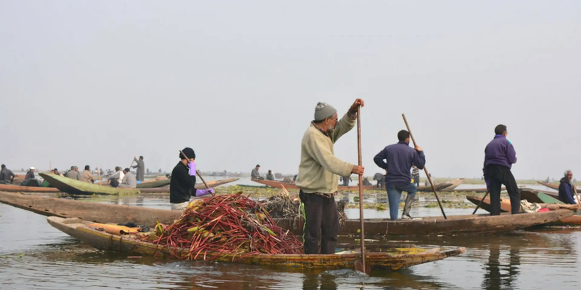 1,300 shikarawallas, one misson: Cleaning up the Jewel of Kashmir