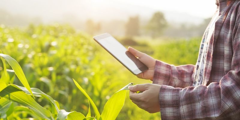 How technology can drive change in Indian agriculture