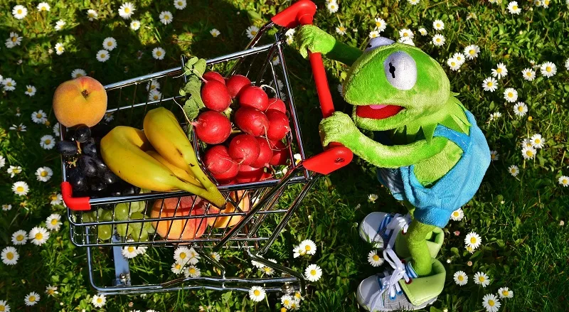 online grocery kermit