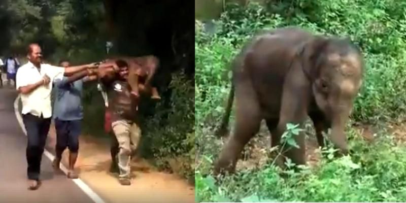 Story of these forest officials carrying a baby elephant has gone viral