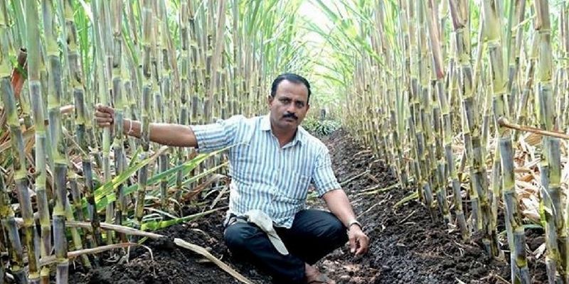 This man grew 100 tonnes sugarcane in one acre of land, made lakhs in profit