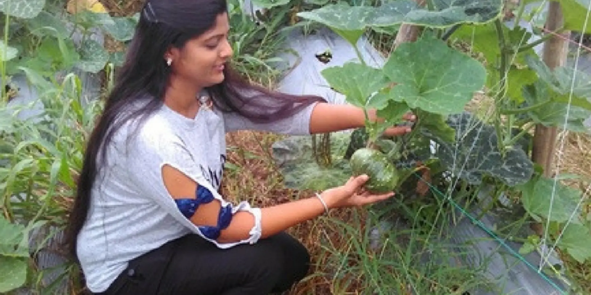 This professor quit her job to become first-generation farmer, now exports to Israel, Dubai